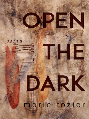 cover image of Open the Dark